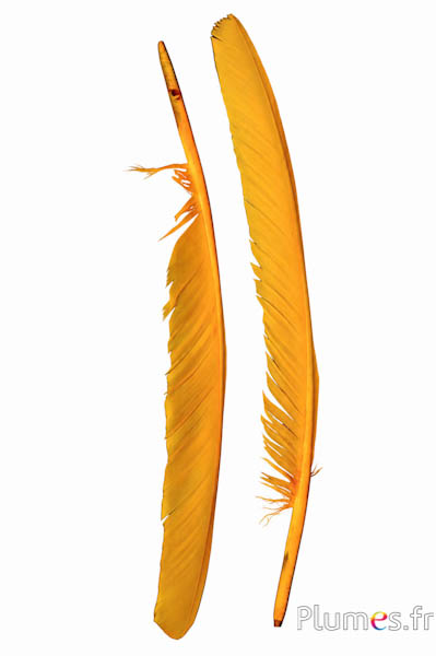 Cigno - 35-40 cm - giallo